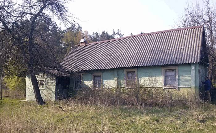Деревянный дом в д. Боровая, фотография 2