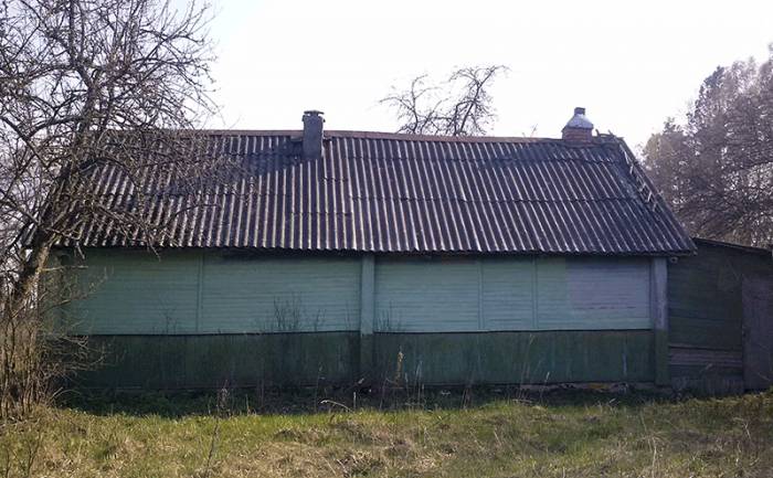 Деревянный дом в д. Боровая, фотография 3