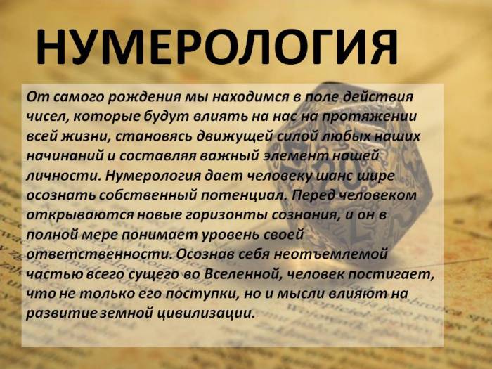 Образовательные курсы, фотография 4
