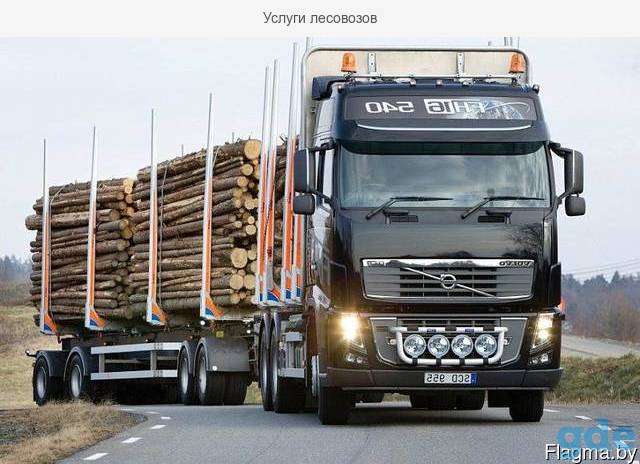 Услуги лесовозов, фотография 2