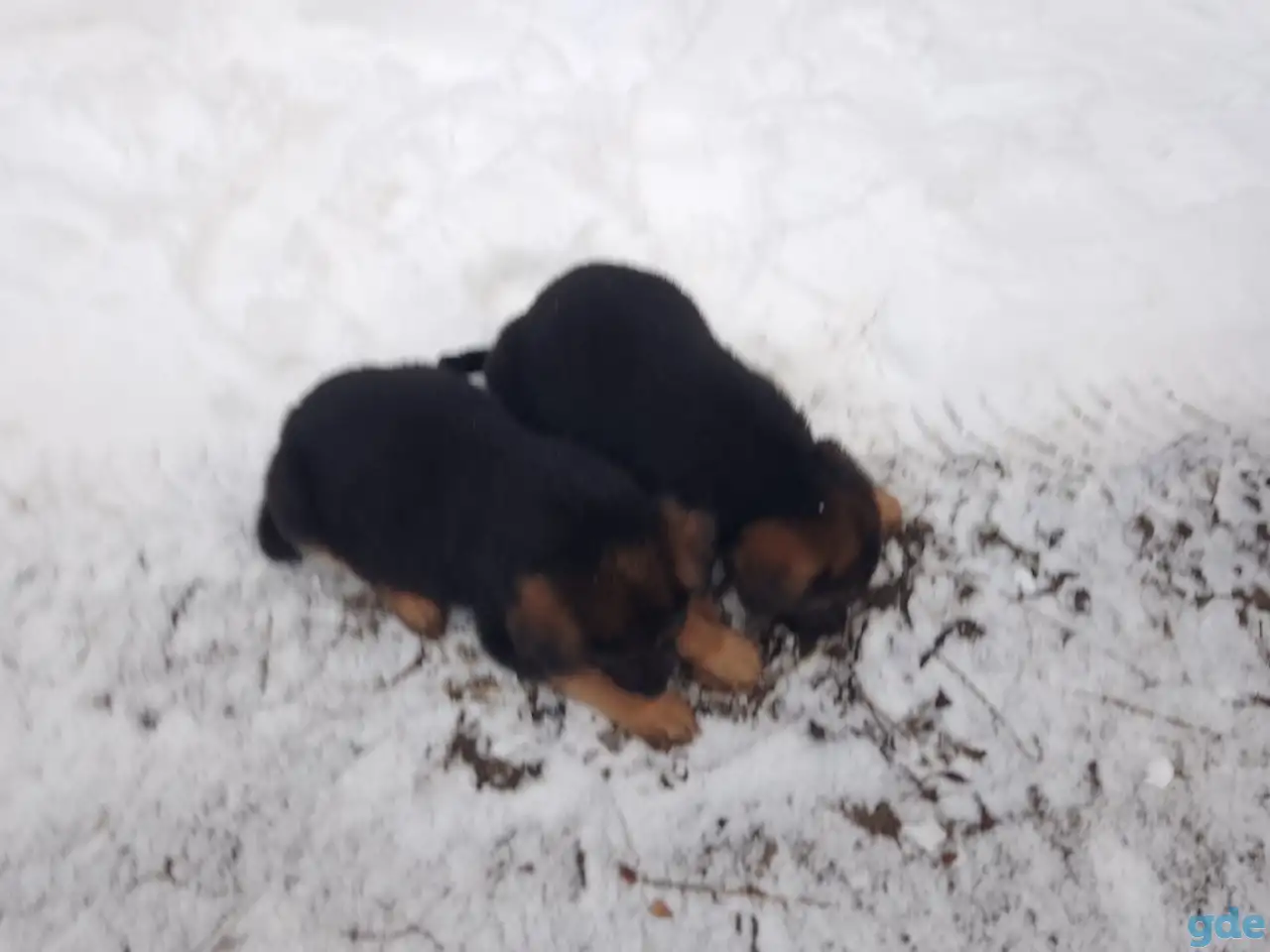 Продажа, фотография 3