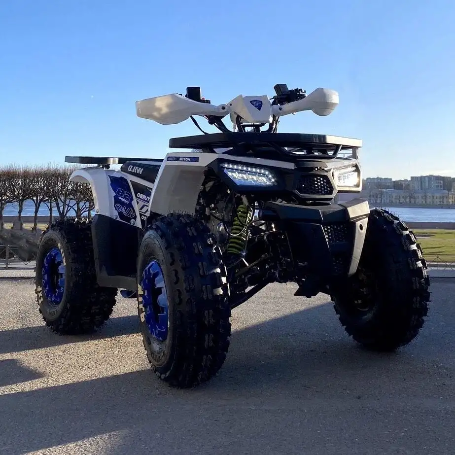 Квадроцикл ATV Motoland Wild 125 без ПТС (к-т з/ч), фотография 10