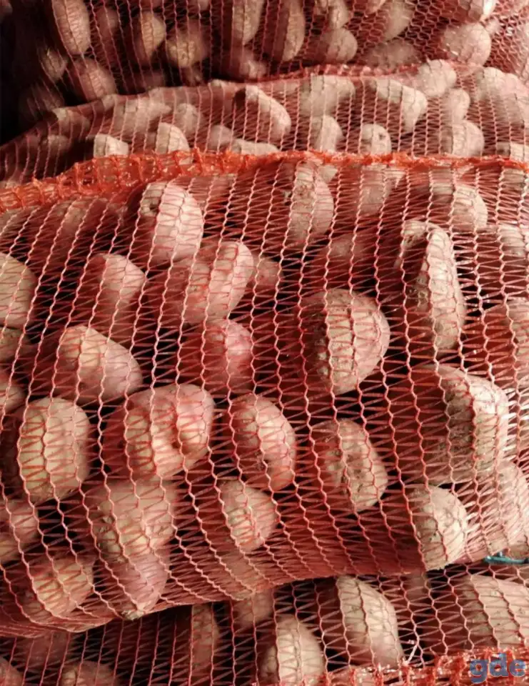 Картофель, фотография 1