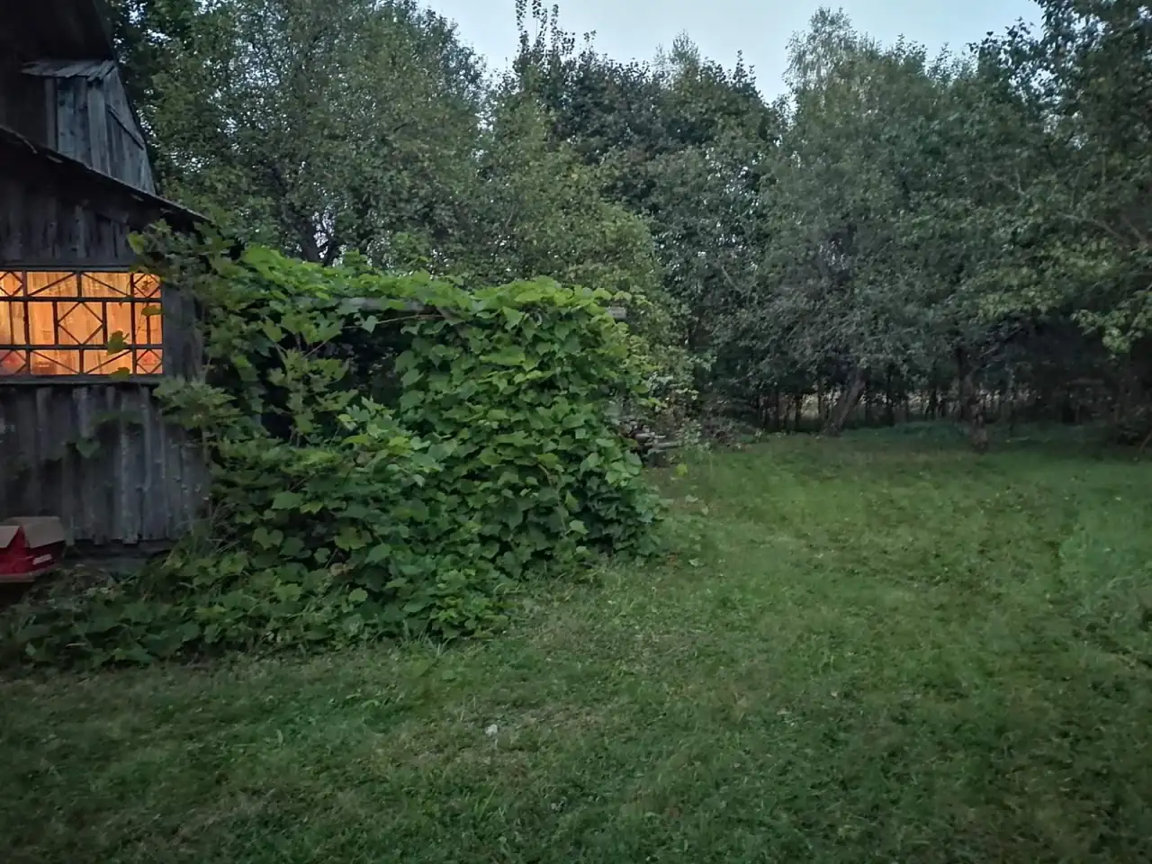 Бревенчатый дом в лесу у ручья деревни Сусловка, фотография 11