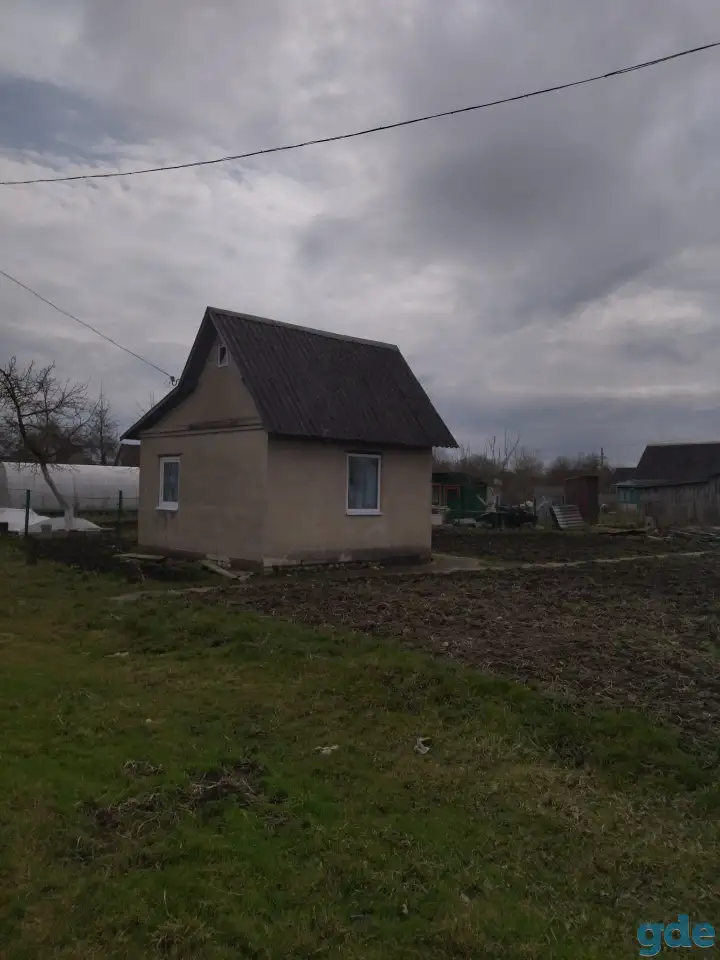 Дача, Гродненская обл. Козье горы