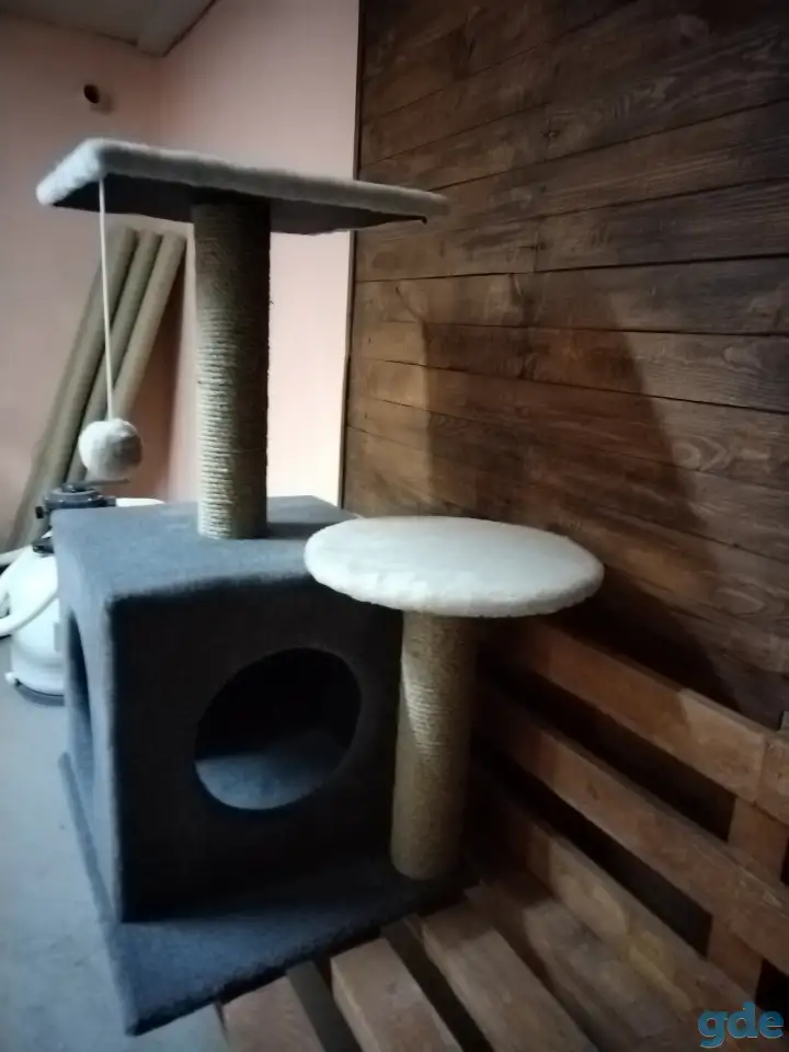 Когтеточка для кошек, фотография 3