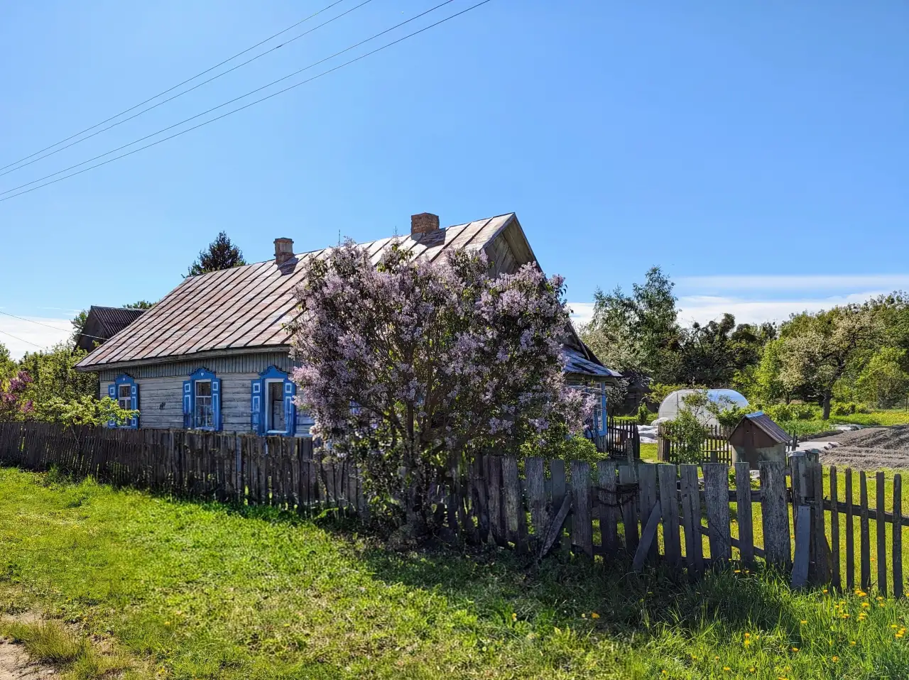 Дом 76 м у леса, участок 19.5 соток, д.Кричевец, Осипович.р-н, фотография 1