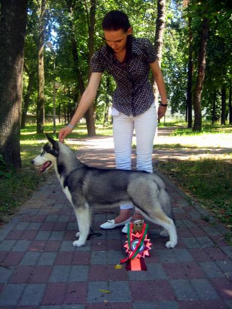 Услуги хендлера в Минске, фотография 2
