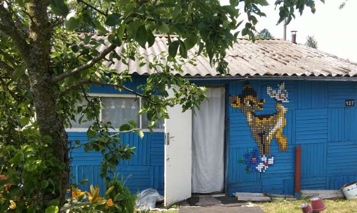 продам дачу, Пуховичский район, д. Барки, фотография 1
