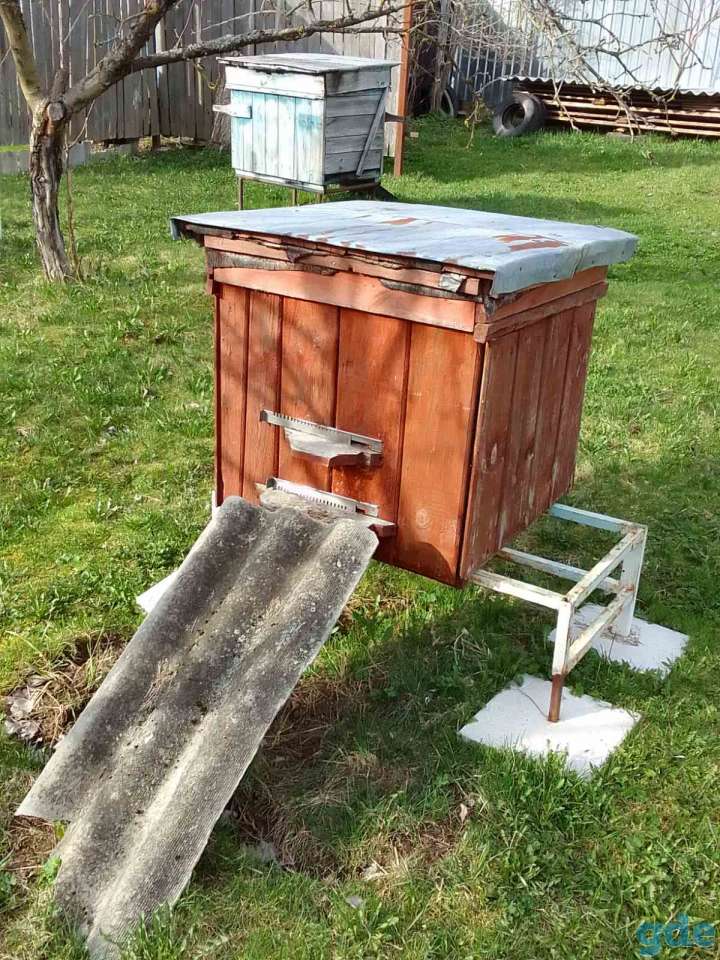 Продам четыре пчелосемьи с ульями, фотография 2