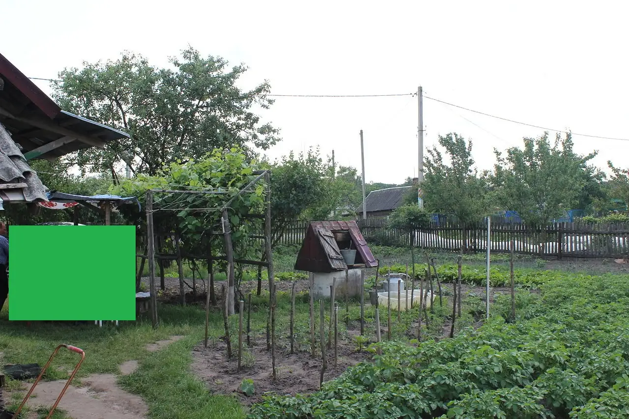 Продается дом в деревне с участком, Малоритский рвйон, д. Пажежин, фотография 2