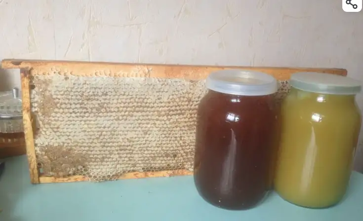Мед и продукты пчеловодства, фотография 1