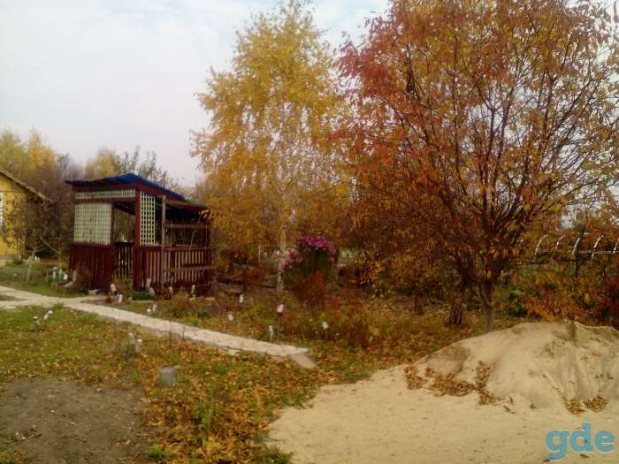 Продам дачу, дачный участок., фотография 5
