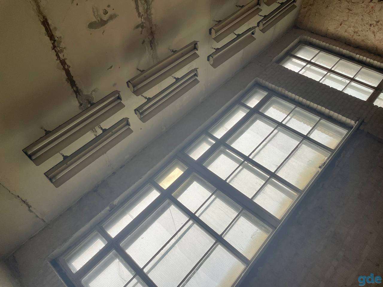 Продается Помещение, г. Барановичи, ул. Царюка, дом 14, фотография 4