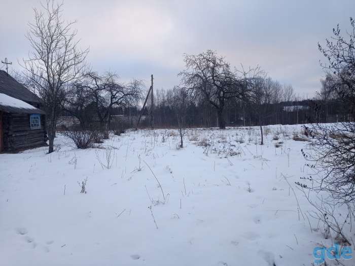 Продам участок с домом, ул. Центральная д.29, фотография 11