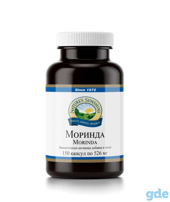 МОРИНДА, фотография 1