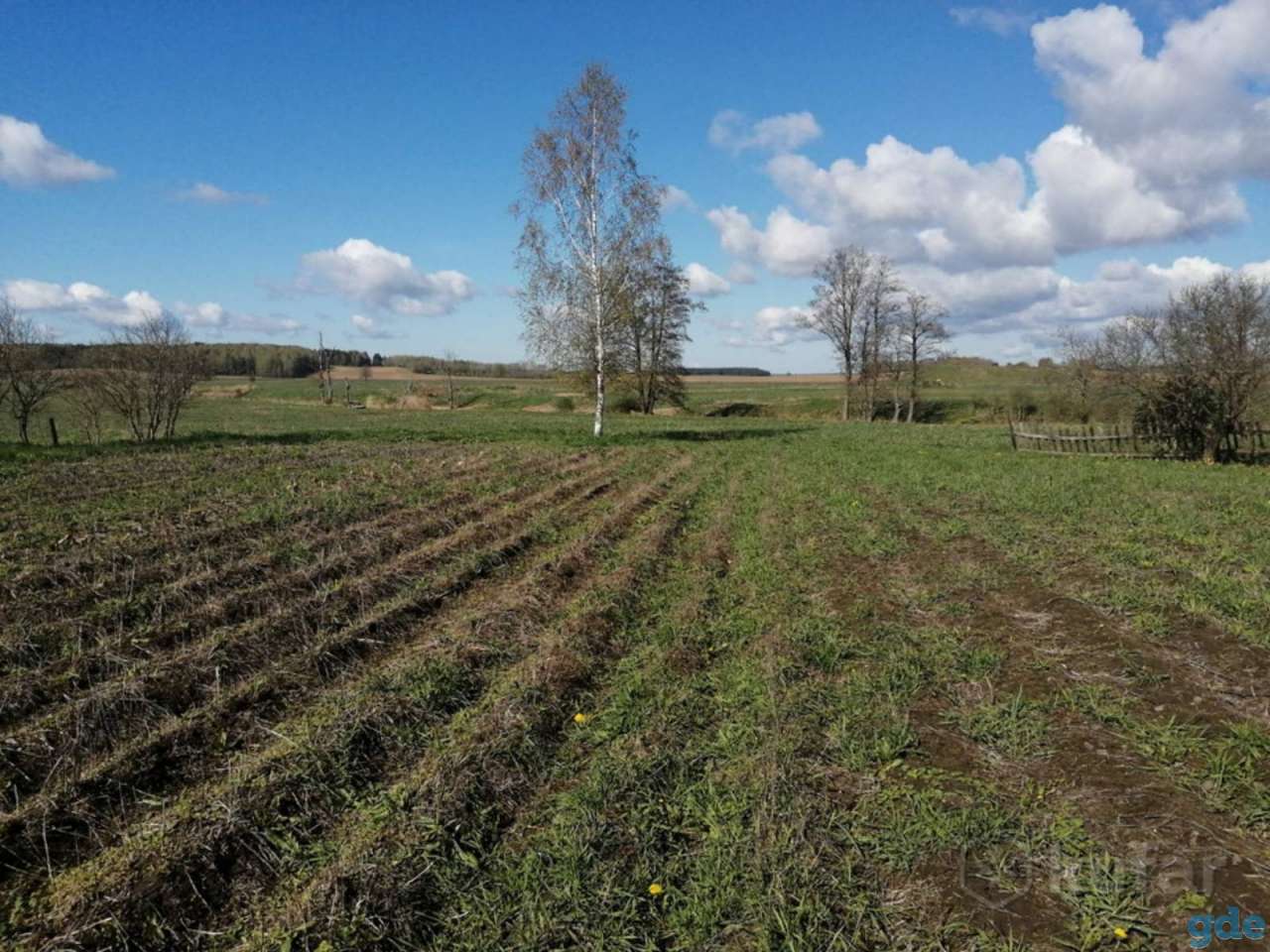 Продам дом., фотография 3