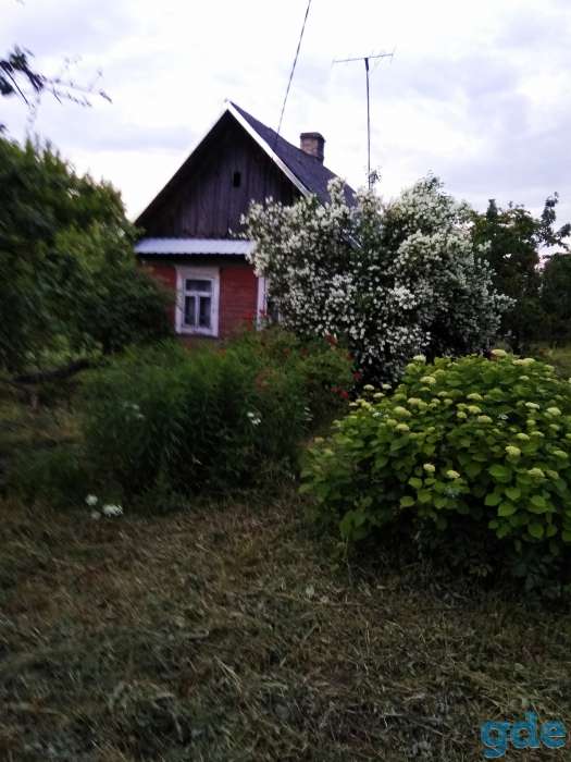 Продам усадьбу  под дачу или строительство дома , Пинский район,г.п.  Логишин, фотография 1
