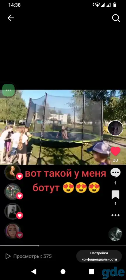 Ботут профессиональный, фотография 1