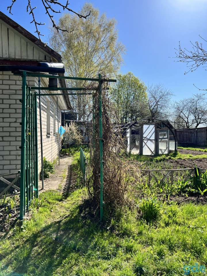 Дом-дача в спокойном и живописном месте Витебской области., фотография 11