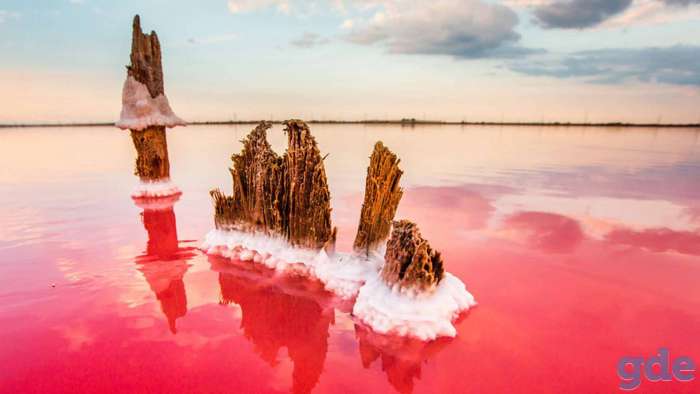Крымская розовая морская соль, фотография 2