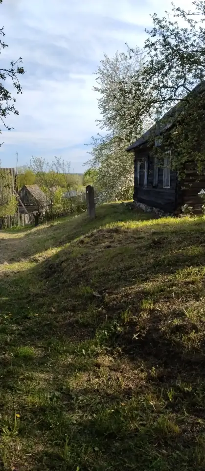 Лагуна в реки Березина, Свислочь ул. Березинская 3, фотография 7