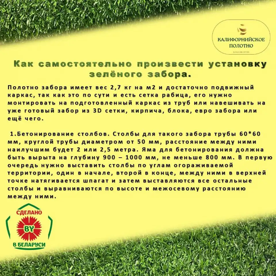 Зеленая изгородь, высотой 0,5 м длина 10 м, фотография 8