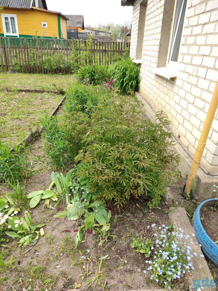 Продам дом, Ул.Мицкевича д38, фотография 12