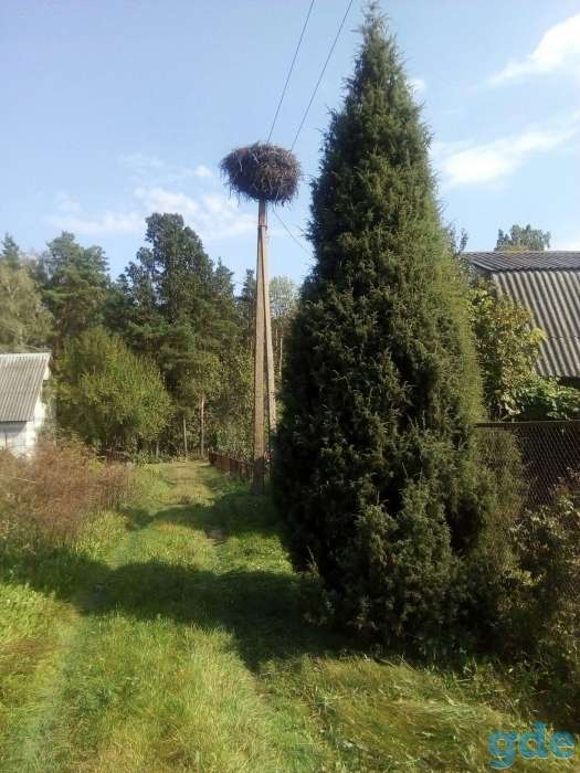 Продаю дачу Морможево, фотография 5