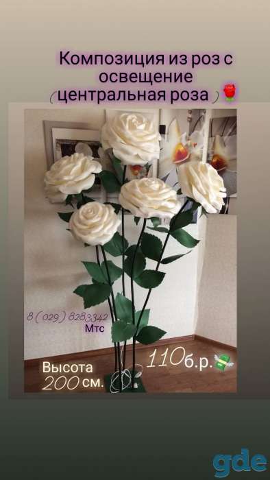 Роза, фотография 3