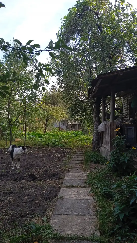 Продажа, фотография 3