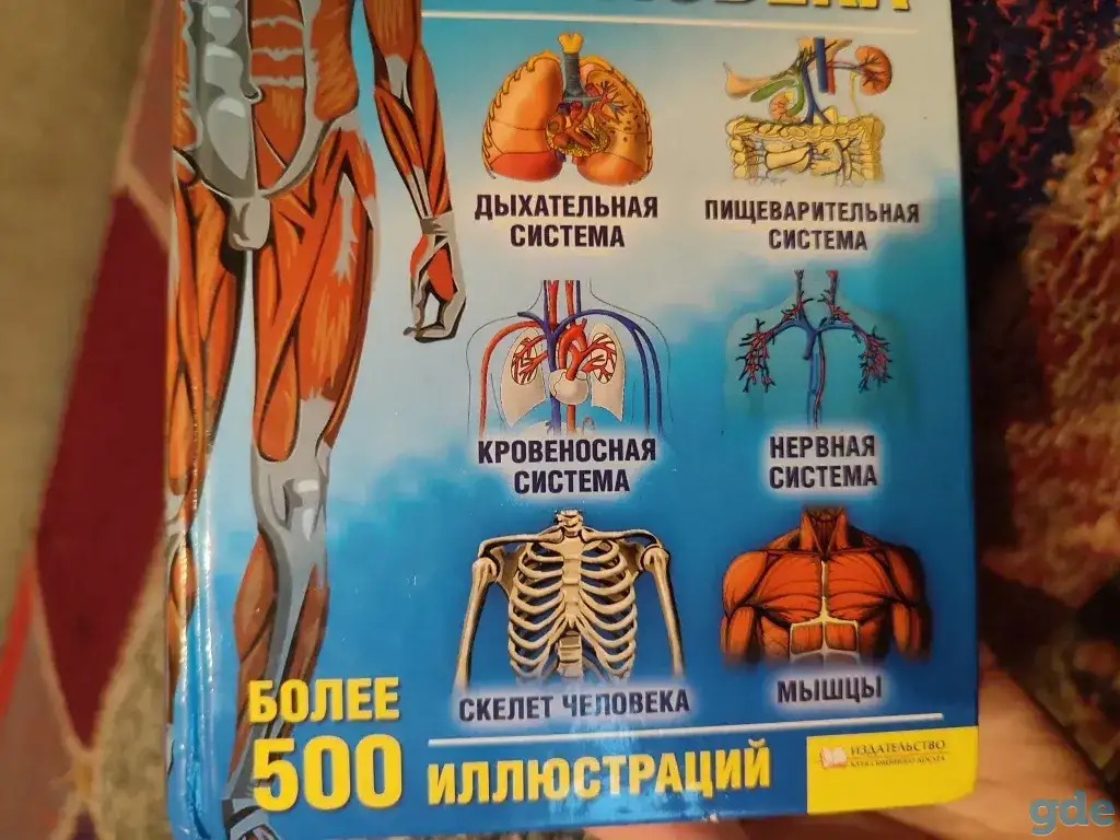 Учебник по анатомии и физиологии для медицинских вузов, фотография 7