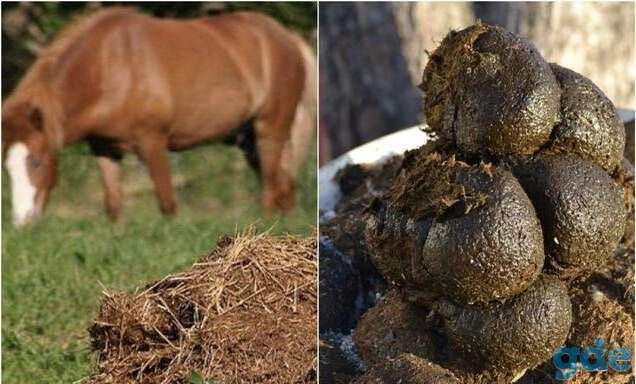 Продажа удобрений, фотография 2