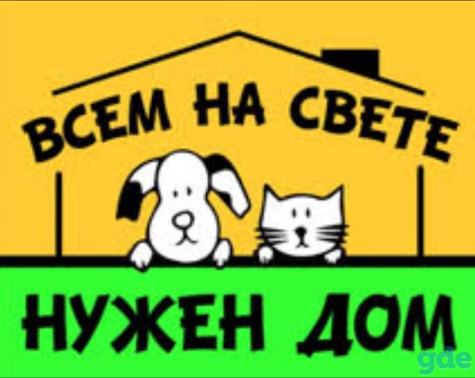 Дом, фотография 1