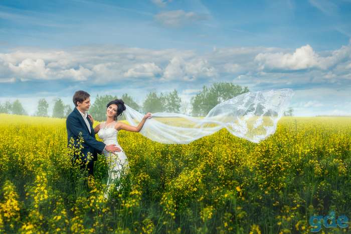 Фотосъемка и видеосьемка, фотография 4