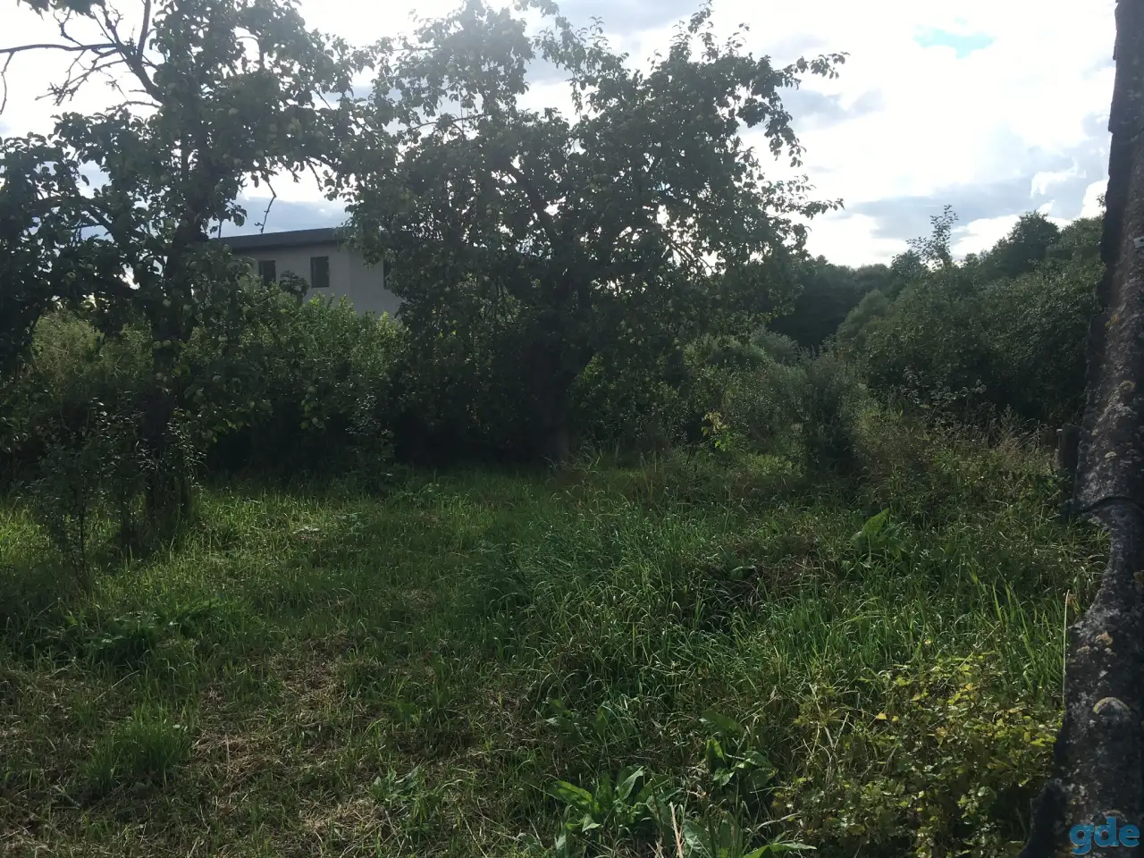 Участок с домом 25 соток, д. Каменка Кленовая 84, фотография 5