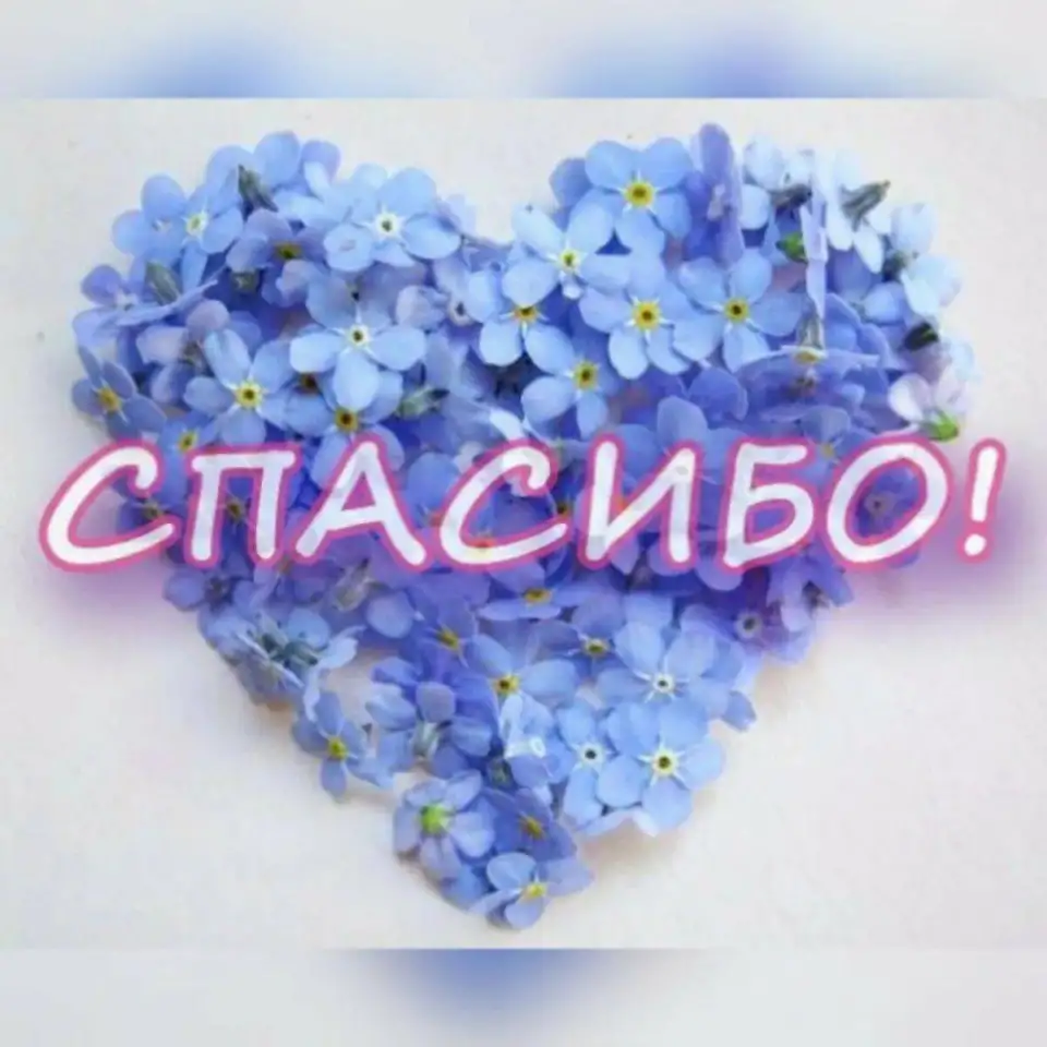 ВахтаРБРФпитаниепроживание, фотография 1