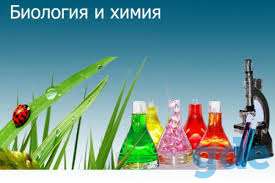 Репетитор по химии и биологии, фотография 1