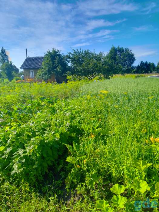 Продажа дача8соток ст росинка от жодино9км, фотография 1