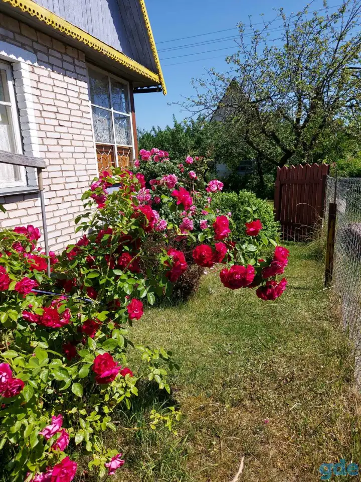 Продам дачу, Острошицко-Городокскийс/с .с/т Узборье 311, фотография 8