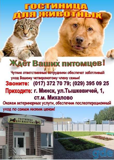 Гостиница для животных, фотография 1