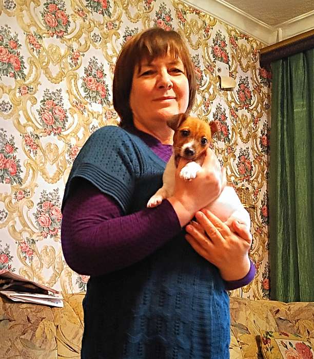 Воспитание и дрессировка щенков. Консультации по интернету для иногородних., фотография 10