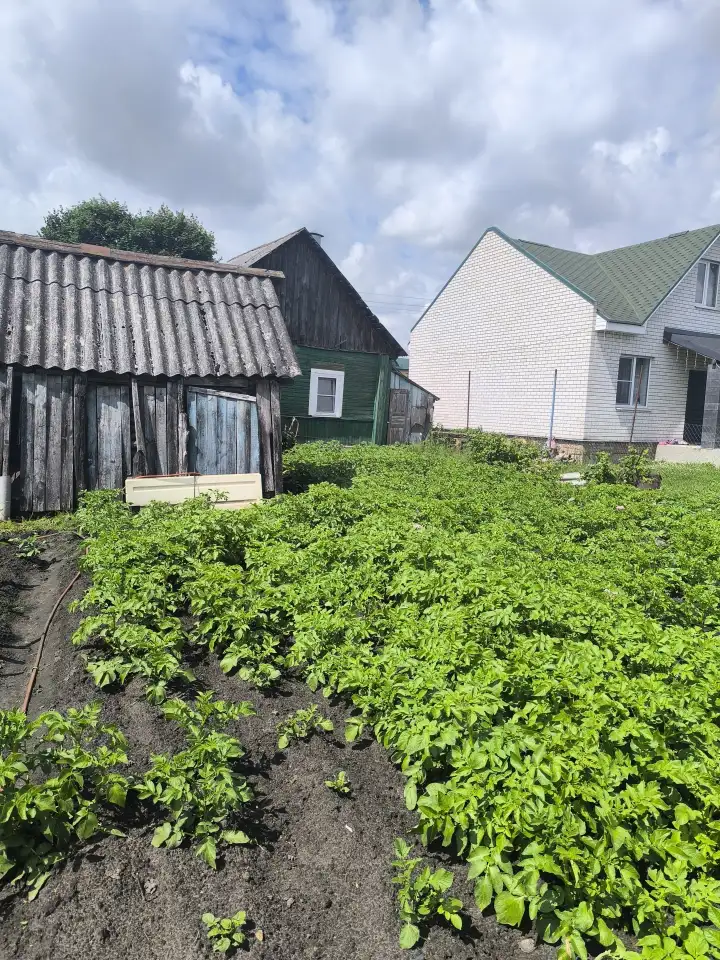 Продам дом, Гомельская область. Ул Интэрнациональная 29, фотография 12