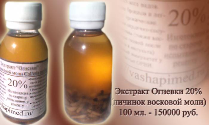 Купить настойку (огневки) восковой моли в Беларуси можно здесь., фотография 1