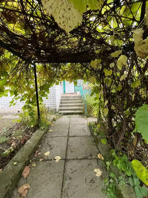 Дача в СТ Жуково на реке Дубровенка, фотография 3