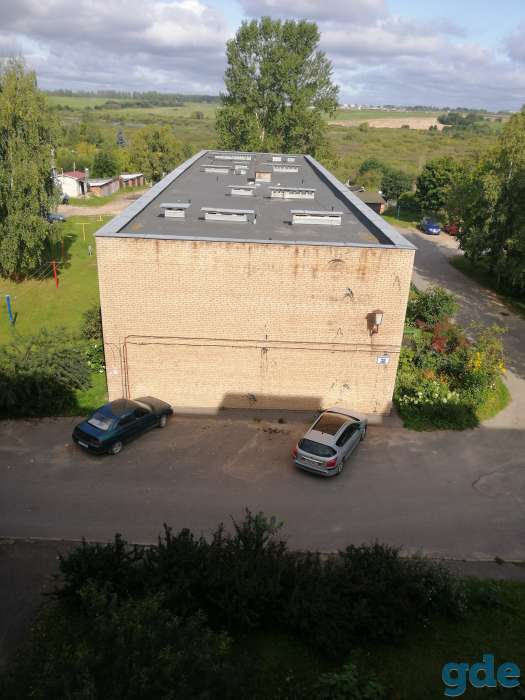 Дам денег хуожнику, фотография 2