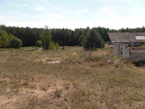 Участок 4,3 Га в д. Негоничи, фотография 2