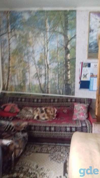 Аренда дома в Беларуси посуточно, Святиловичи, ул. 70 лет октября, фотография 10