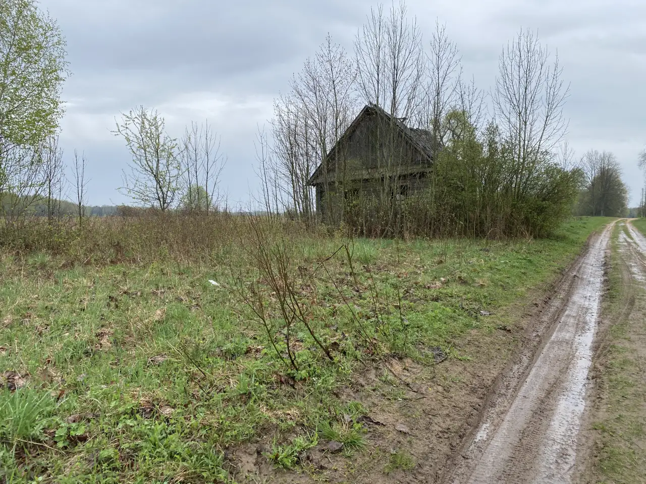 Продам земельный участок 25 соток недалеко от Плещениц, фотография 3