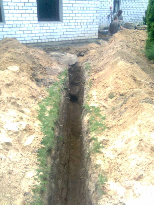 Трезвый землекоп, фотография 5